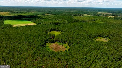 0 E Hwy 280 unit 10565933, Pembroke, GA 31321 - photo 3