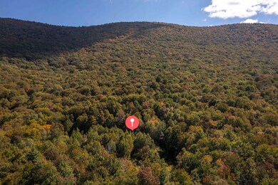 0 Tower Rd unit 28, Dorset, VT 05251 - photo 4