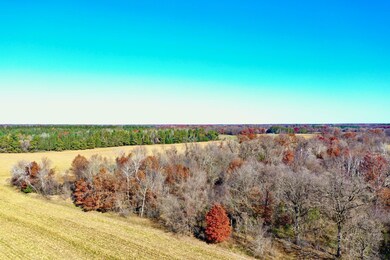 NA Flamingo St NW, Bradford Township, MN 55040 - photo 7