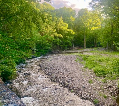 156 Cardinal Rd, Cresco, PA 18326 - photo 4