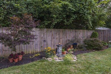 Backyard Oasis 3