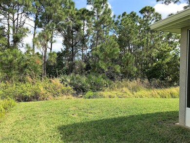 Rear Yard 3