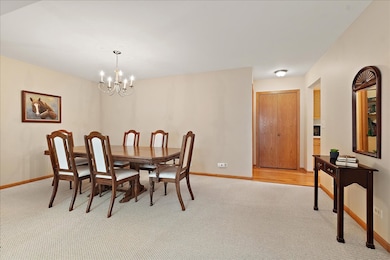 8058 Autobahn Dr S unit 202, Palos Park, IL 60464 - photo 6