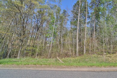 Lot 5, 6 & 7 Terminal Rd, Breezy Point, MN 56472 - photo 4