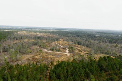 0 Hwy 98 unit 25798787, Beaumont, MS 39476 - photo 3