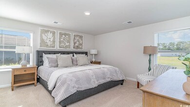 Carpeted bedroom with multiple windows