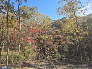 Lot 6 Myla Ln, Hedgesville, WV 25427 - photo 5