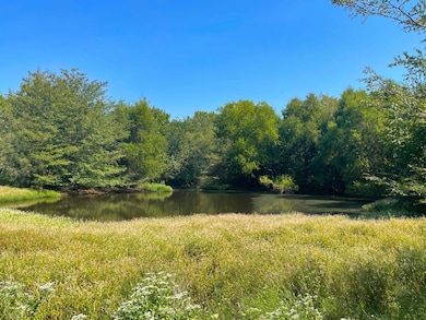 Highway 31, Coalgate, OK 74538 - photo 6