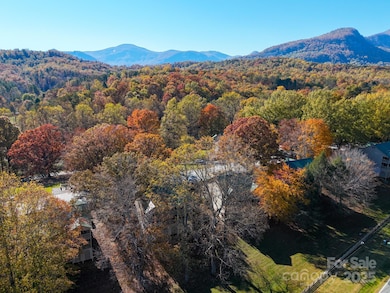 160 Whitney Blvd unit 52, Lake Lure, NC 28746 - photo 6