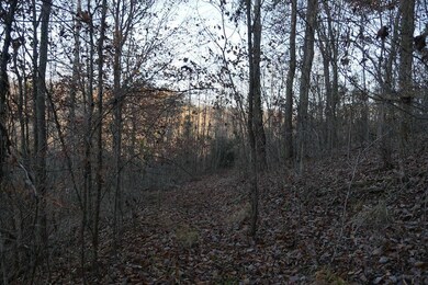 0 Bristol Hwy unit LotWP001, Bristol, VA 24202 - photo 5