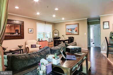 1142 Cove Rd unit 301, Annapolis, MD 21403 - photo 5