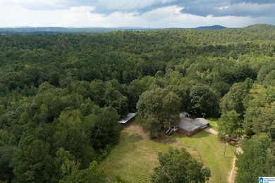 4255 Kelly Creek Rd, Odenville, AL 35120 - photo 2