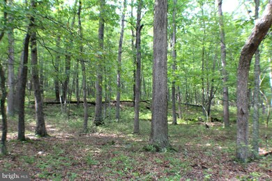 LOT 16 Posy Hill Rd, Wardensville, WV 26851 - photo 5