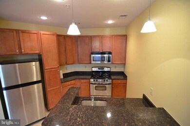 Halstead at The Metro unit 125, Fairfax, VA 22031 - photo 3