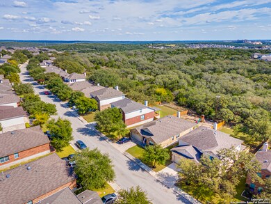 3614 Pinyon Pine, San Antonio, TX 78261 - photo 5