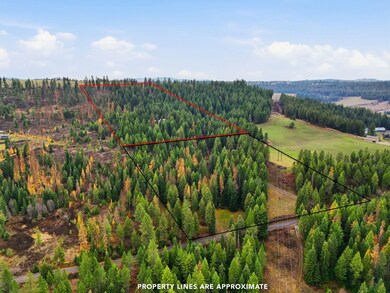 12112 E Burnett Rd, Mead, WA 99021 - photo 6