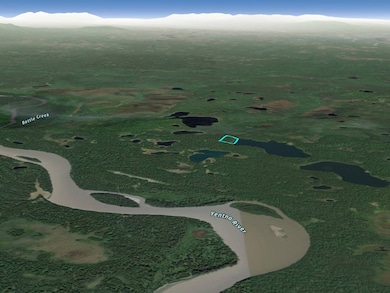 000 Asls 72-064 9 91 Acres, Skwentna, AK 99667 - photo 2