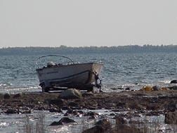 Shoreline with boat