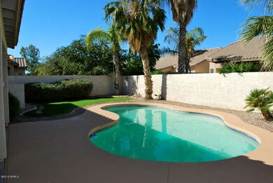 Backyard #2