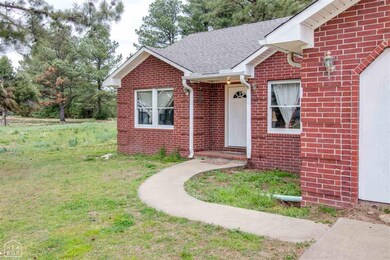 20 C R 139, Bono, AR 72416 - photo 3