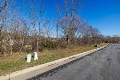 2102 Willow Hill Dr, Harrisonburg, VA 22801 - photo 5