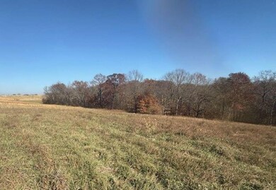 0 NE Mt Olivet Rd unit HMS2588486, Smithville, MO 64089 - photo 2