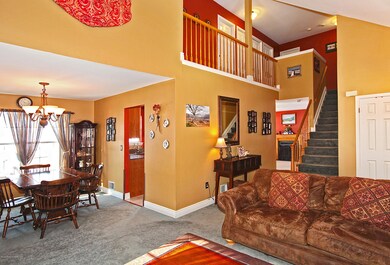 Living & Dining Room