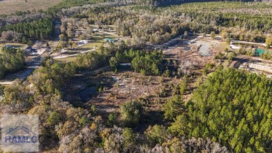 12 Acres Raybon Rd E, Nahunta, GA 31553 - photo 6
