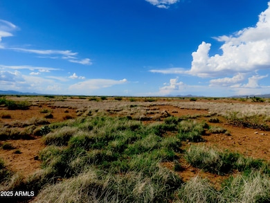 TBD N Ee Ranch Lot 4 Rd unit 4, McNeal, AZ 85617 - photo 6