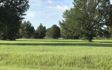 TBD Mandiba Drive Lot 74, Lake City, FL 32024 - photo 3