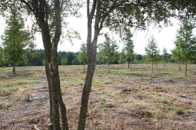 0 Middle Rd unit 743984, Callahan, FL 32011 - photo 4