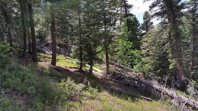 Sloped Lot