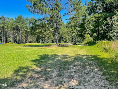 1150 Rougemont Rd, Rougemont, NC 27572 - photo 7