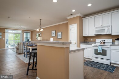 Sunset Island unit 2B, Ocean City, MD 21842 - photo 6
