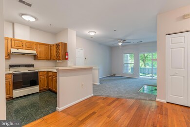 4408 Silverbrook Ln unit K003, Owings Mills, MD 21117 - photo 6