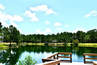 1622 Ashantilly Dr, Darien, GA 31305 - photo 7