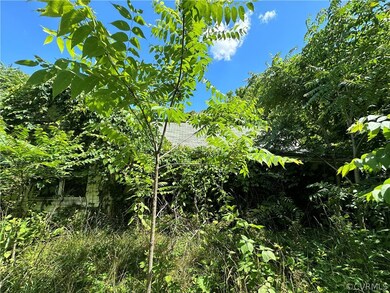 View of nature