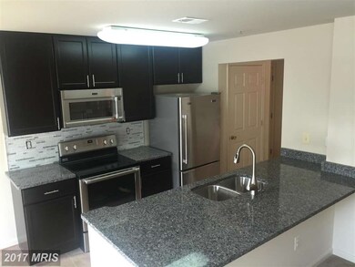 503 Mathiass Hamnd Way unit 203, Annapolis, MD 21401 - photo 4