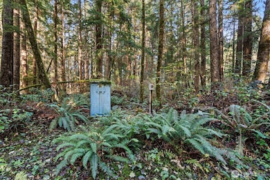 0 Lot 35 Bay Ln, South Bend, WA 98596 - photo 7