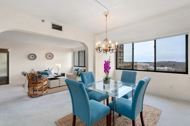 250 Hammond Pond Pkwy unit 1110, Chestnut Hill, MA 02467 - photo 4