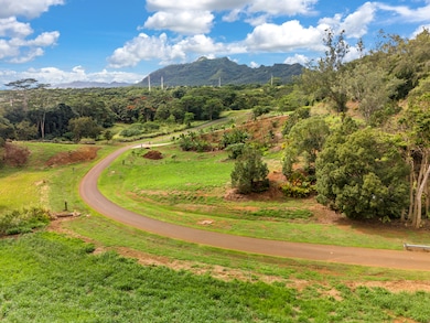 0 Kana St unit 10B 715937, Kapaa, HI 96746 - photo 3