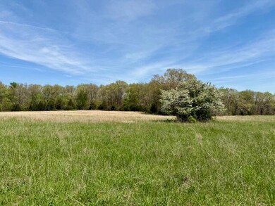 000 State Highway 76, Ava, MO 65608 - photo 4