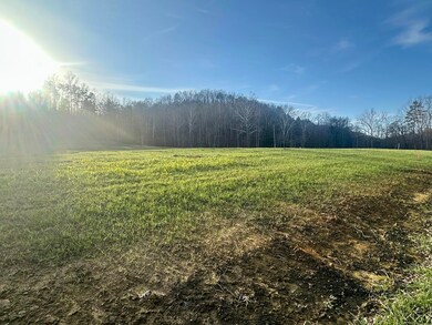 Lot 9 Hensley Rd, East Bernstadt, KY 40729 - photo 5