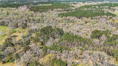 tbd Beechgrove Rd, Clinton, LA 70722 - photo 3