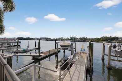 1009 Royal Pass Rd, Tampa, FL 33602 - photo 3