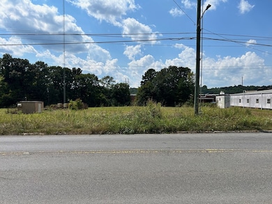 945 Riverbend Rd, Dalton, GA 30721 - photo 6