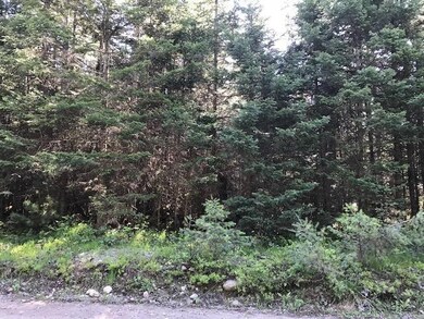 235 Sherman Ln, Bigfork, MT 59911 - photo 2