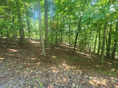 Lot 3 Meadow View Dr, Morganton, GA 30560 - photo 6