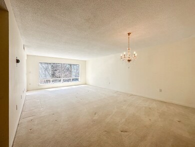 233 Place Ln, Woburn, MA 01801 - photo 6