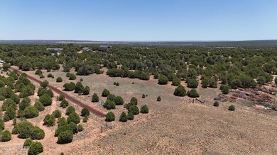 DJI_20240706114251_0034_D